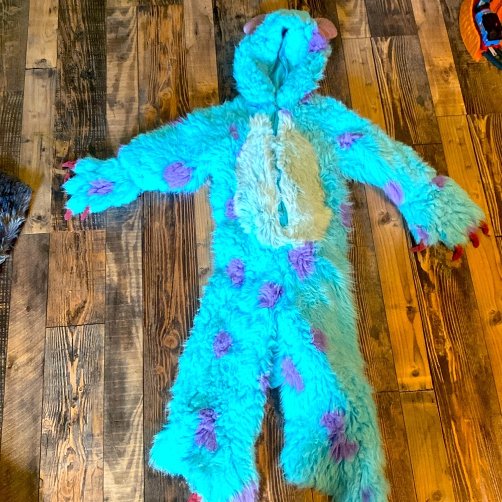 Disney Sully Monster Costume - Size 2-4
